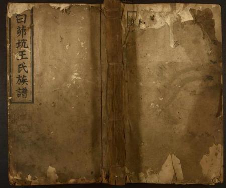 江西王氏族谱-白茆坑王氏族谱.pdf电子版