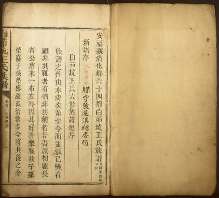 江西王氏族谱-白茆坑王氏族谱.pdf电子版插图1