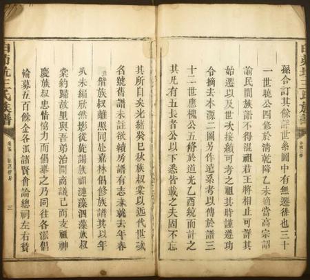 江西王氏族谱-白茆坑王氏族谱.pdf电子版插图3