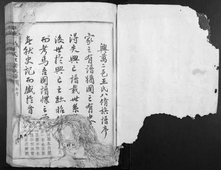 江西王氏族谱-兴万二邑王氏八修族谱[不分卷].pdf电子版插图1