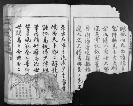 江西王氏族谱-兴万二邑王氏八修族谱[不分卷].pdf电子版插图2