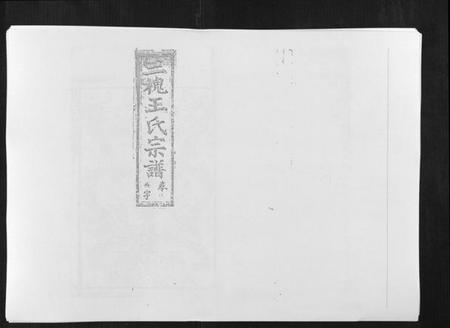 江西王氏族谱-复社王氏族谱.pdf电子版