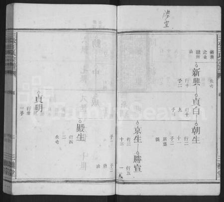 江西王氏族谱-三求王氏宗谱 [不分卷].pdf电子版插图2