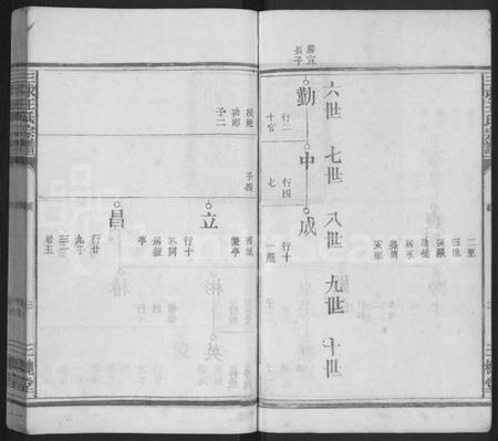 江西王氏族谱-三求王氏宗谱 [不分卷].pdf电子版插图3