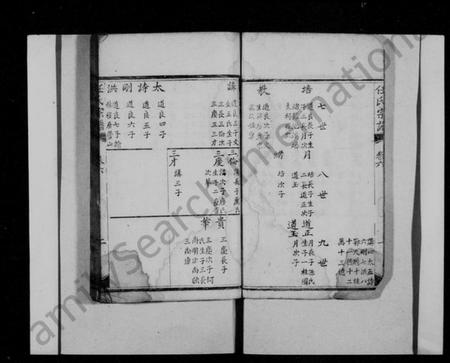 四川任氏族谱-任氏宗谱.pdf电子版插图5 四川任氏族谱-任氏宗谱.pdf电子版插图5