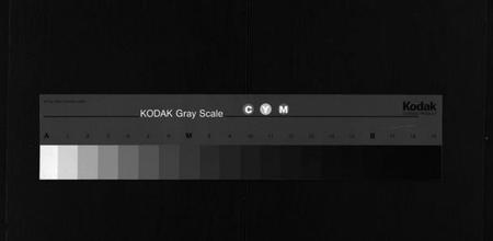 湖北任氏族谱-任氏宗谱 [20卷,首4卷].pdf电子版