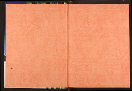 湖北阮氏族谱-阮氏宗谱.pdf电子版插图1 湖北阮氏族谱-阮氏宗谱.pdf电子版插图1