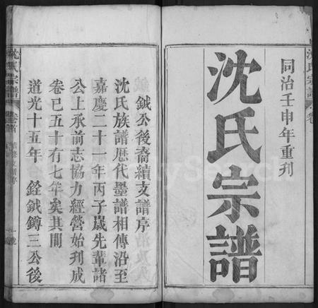 湖北沈氏族谱-沈氏宗谱 [10卷,首1卷].pdf电子版插图1