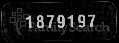 湖北施氏族谱-施氏宗谱 [59卷,首2卷].pdf电子版