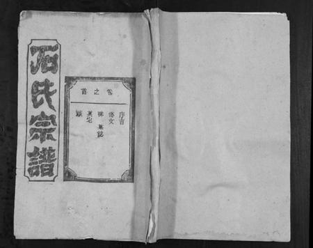 湖北石氏族谱-石氏宗谱[18卷首1卷].pdf电子版