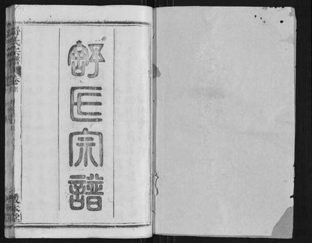 湖北舒氏族谱-舒氏宗谱[17卷首末各1卷].pdf电子版插图1