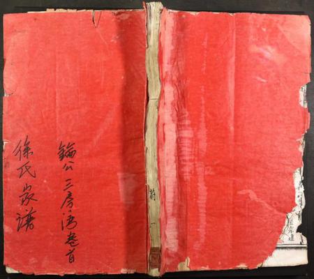 江西未知族谱-徐氏宗谱.pdf电子版