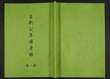 江西未知族谱-王荆公年谱考略.pdf电子版