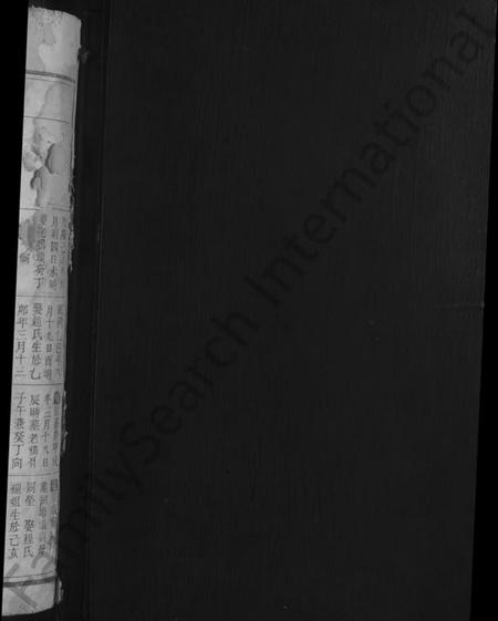 江西未知族谱-义门陈氏宗谱[残卷].pdf电子版插图2