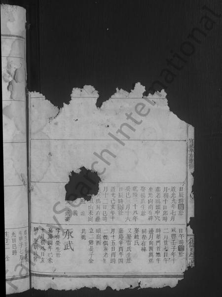 江西未知族谱-义门陈氏宗谱[残卷].pdf电子版插图4