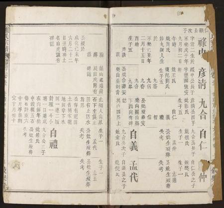 湖北苏氏族谱-苏氏宗谱.pdf电子版插图3 湖北苏氏族谱-苏氏宗谱.pdf电子版插图3