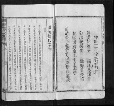 江西魏氏族谱-田饶魏氏宗谱[4卷].pdf电子版插图2