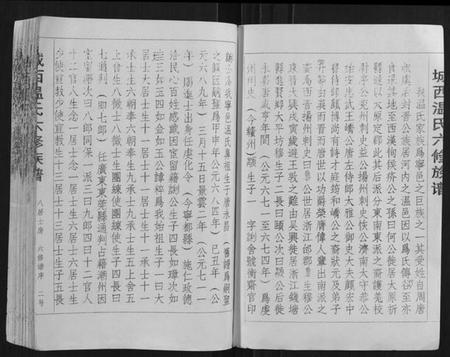 江西温氏族谱-城西温氏六修族谱[不分卷].pdf电子版插图2