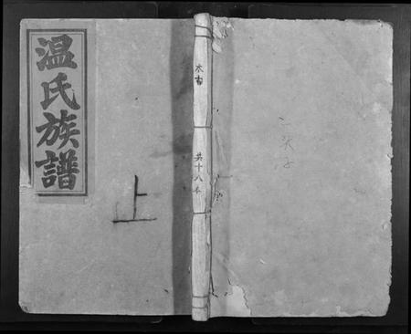 江西温氏族谱-温氏何修族谱[不分卷].pdf电子版