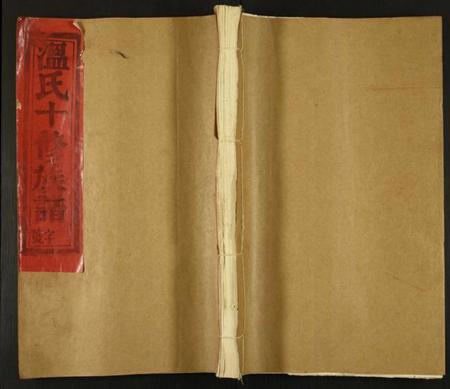 江西温氏族谱-温氏十修族谱.pdf电子版