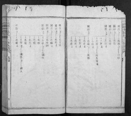 江西温氏族谱-石城联芳温氏十三修族谱[30卷,首1卷].pdf电子版插图4