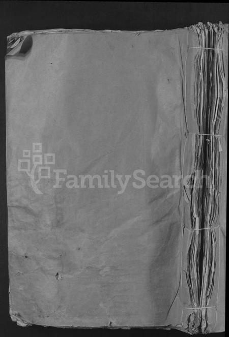 江西温氏族谱-雩阳虎溪温氏九修大宗谱 [不分卷].pdf电子版