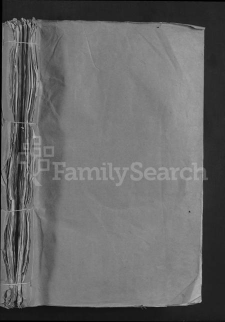 江西温氏族谱-雩阳虎溪温氏九修大宗谱 [不分卷].pdf电子版插图1