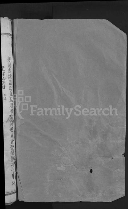 江西温氏族谱-雩阳虎溪温氏九修大宗谱 [不分卷].pdf电子版插图2