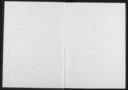 湖北孙氏族谱-孙氏宗谱.pdf电子版插图1