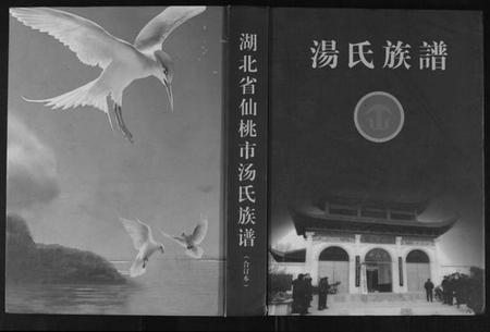 湖北汤氏族谱-汤氏族谱.pdf电子版插图 湖北汤氏族谱-汤氏族谱.pdf电子版插图