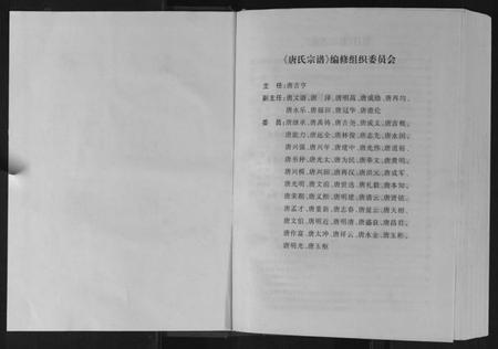 四川唐氏族谱-唐氏宗谱.pdf电子版插图2 四川唐氏族谱-唐氏宗谱.pdf电子版插图2
