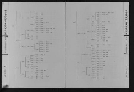 四川唐氏族谱-中华唐氏通谱重庆大足区分卷.pdf电子版插图4 四川唐氏族谱-中华唐氏通谱重庆大足区分卷.pdf电子版插图4