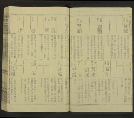 江西吴氏族谱-吴氏宗谱[未标明卷数].pdf电子版插图4