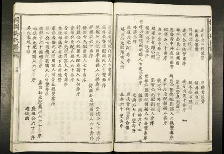 江西吴氏族谱-桐冈吴氏族谱.pdf电子版插图2 江西吴氏族谱-桐冈吴氏族谱.pdf电子版插图2