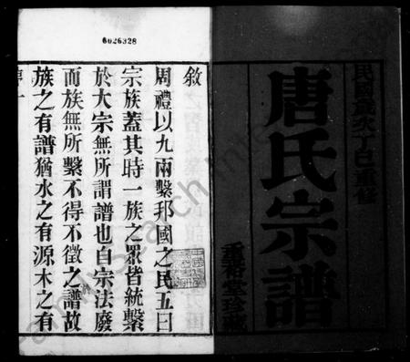 江苏唐氏族谱-唐氏宗谱 [12卷,首1卷].pdf电子版插图1