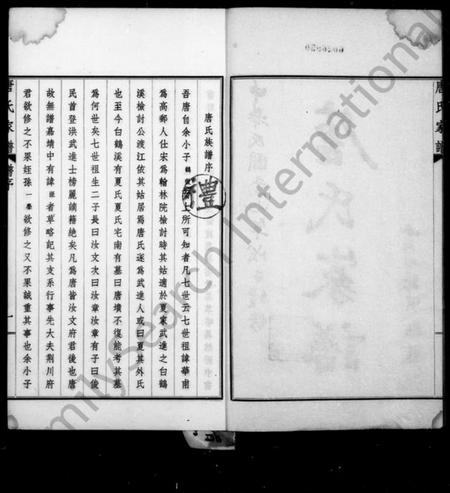 江苏唐氏族谱-毘陵唐氏家谱 [东分不分卷,西分9卷,首末各1卷].pdf电子版插图2