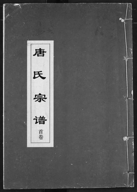 湖北唐氏族谱-唐氏宗谱.pdf电子版插图 湖北唐氏族谱-唐氏宗谱.pdf电子版插图