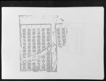 湖北陶氏族谱-陶氏宗谱.pdf电子版插图2 湖北陶氏族谱-陶氏宗谱.pdf电子版插图2