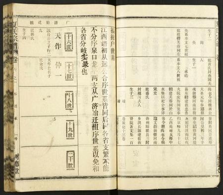 江西夏氏族谱-夏氏宗谱.pdf电子版插图4