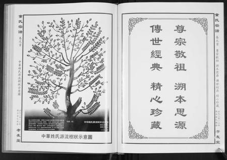 湖北童氏族谱-童氏宗谱.pdf电子版插图2