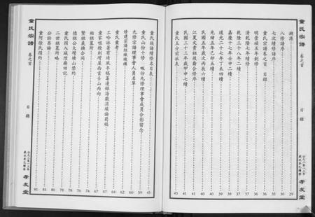 湖北童氏族谱-童氏宗谱.pdf电子版插图4