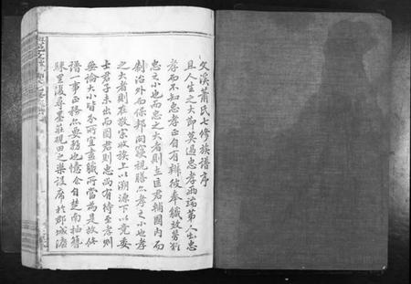 江西萧氏族谱-兴邑文溪萧氏七修族谱[不分卷].pdf电子版插图1