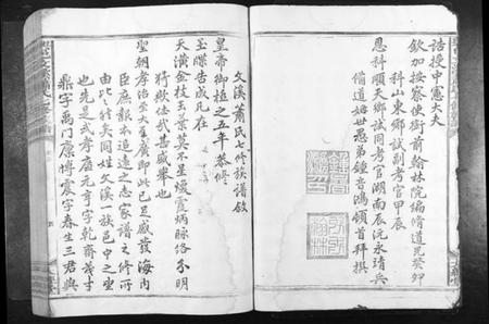 江西萧氏族谱-兴邑文溪萧氏七修族谱[不分卷].pdf电子版插图4