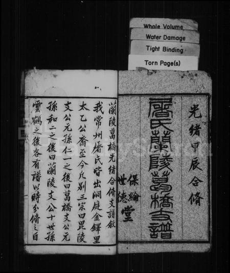 江苏屠氏族谱-屠氏兰陵葛桥支谱 [6卷,首1卷].pdf电子版插图2