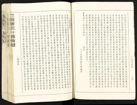 江西萧氏族谱-兰陵萧氏十修族谱.pdf电子版插图3 江西萧氏族谱-兰陵萧氏十修族谱.pdf电子版插图3