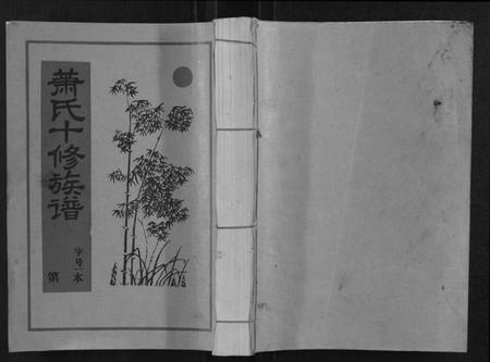 江西萧氏族谱-兰陵萧氏十修族谱[不分卷].pdf电子版