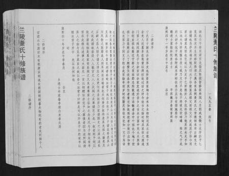 江西萧氏族谱-兰陵萧氏十修族谱[不分卷].pdf电子版插图5