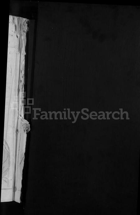 江西萧氏族谱-虎溪萧氏宗谱 [不分卷].pdf电子版插图2