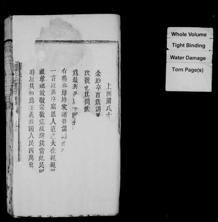 江西萧氏族谱-遂川上洲萧氏十二修族谱.pdf电子版插图2