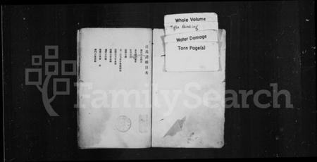 中国汪氏族谱-汪氏谱略.pdf电子版插图1 中国汪氏族谱-汪氏谱略.pdf电子版插图1